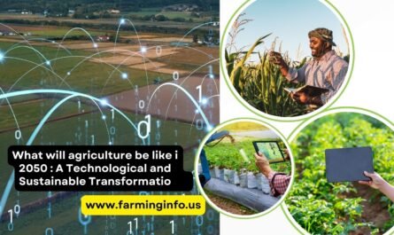 What will agriculture be like in 2050 A Technological and Sustainable Transformation