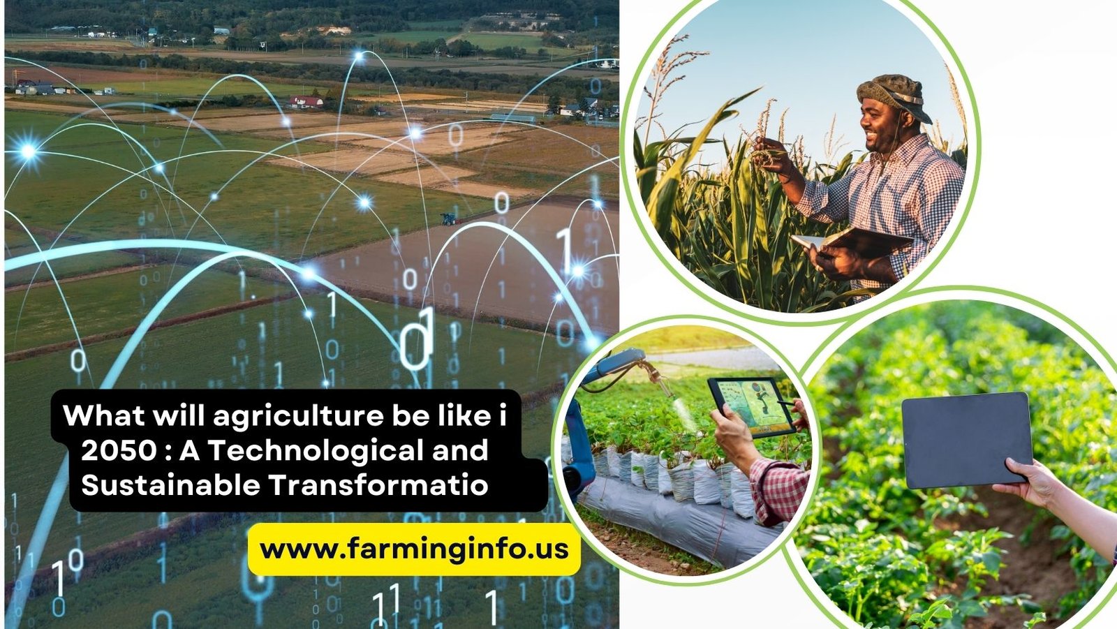 What will agriculture be like in 2050  A Technological and Sustainable Transformation