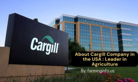 About Cargill Company in the USA : Leader in Agriculture