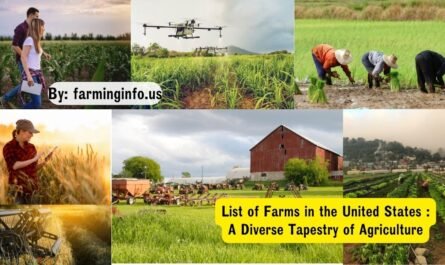 List of Farms in the United States A Diverse Tapestry of Agriculture