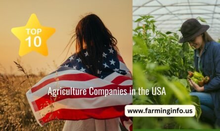 Top 10 Agriculture Companies in the USA