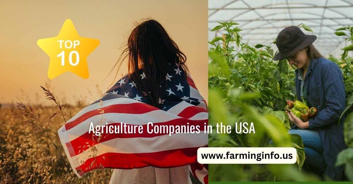 Top 10 Agriculture Companies in the USA