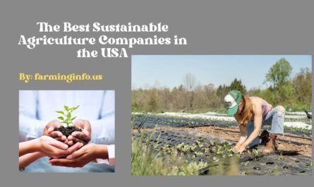 The Best Sustainable Agriculture Companies in the USA