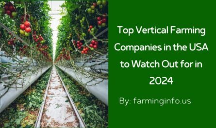 Top Vertical Farming Companies in the USA