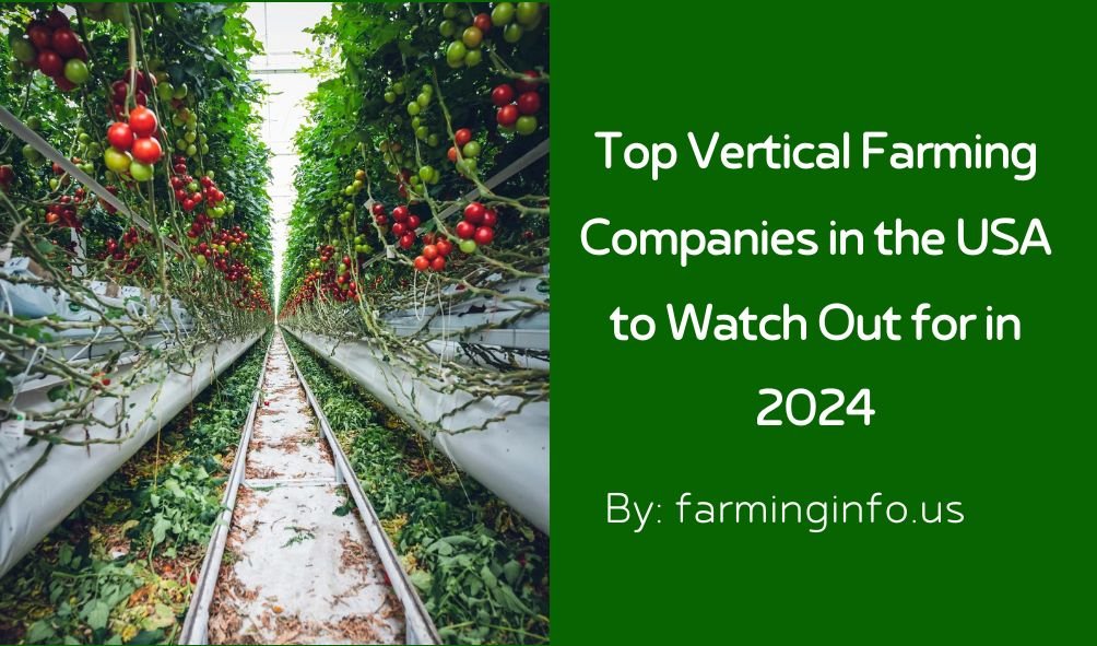 Top Vertical Farming Companies in the USA