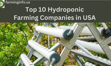 Top 10 Hydroponic Farming Companies