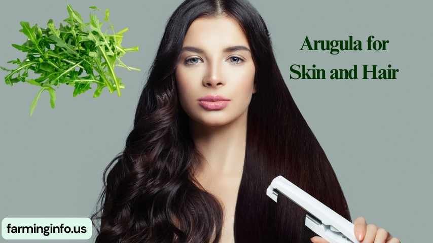 Arugula benefits for skin and hair straightening