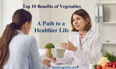 Top 10 Benefits of Vegetables