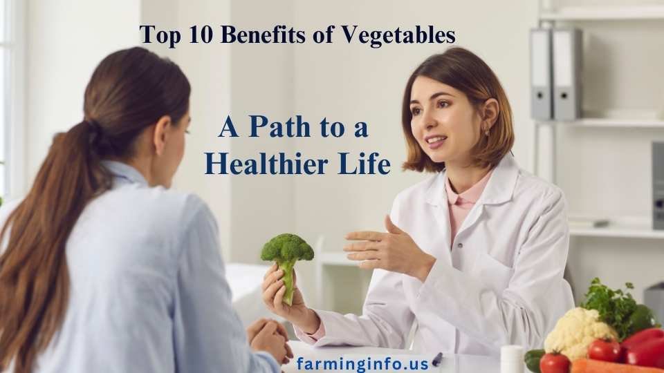 Top 10 Benefits of Vegetables