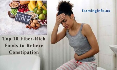 Top 10 Fiber Foods to Relieve Constipation