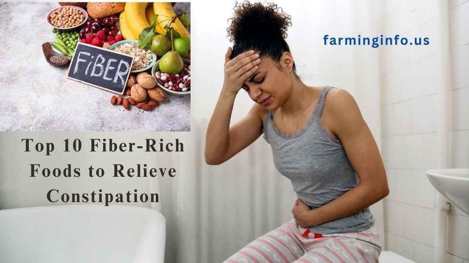 Top 10 Fiber Foods to Relieve Constipation