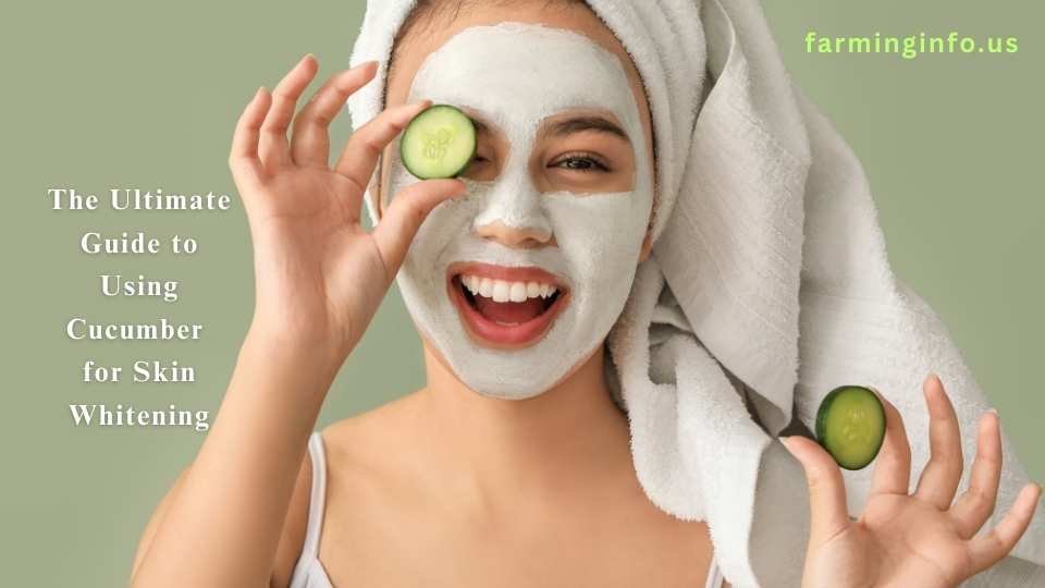 Using Cucumber for Skin Whitening